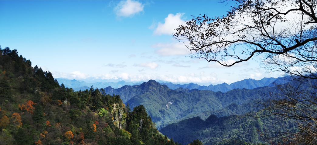 唐家河.jpg