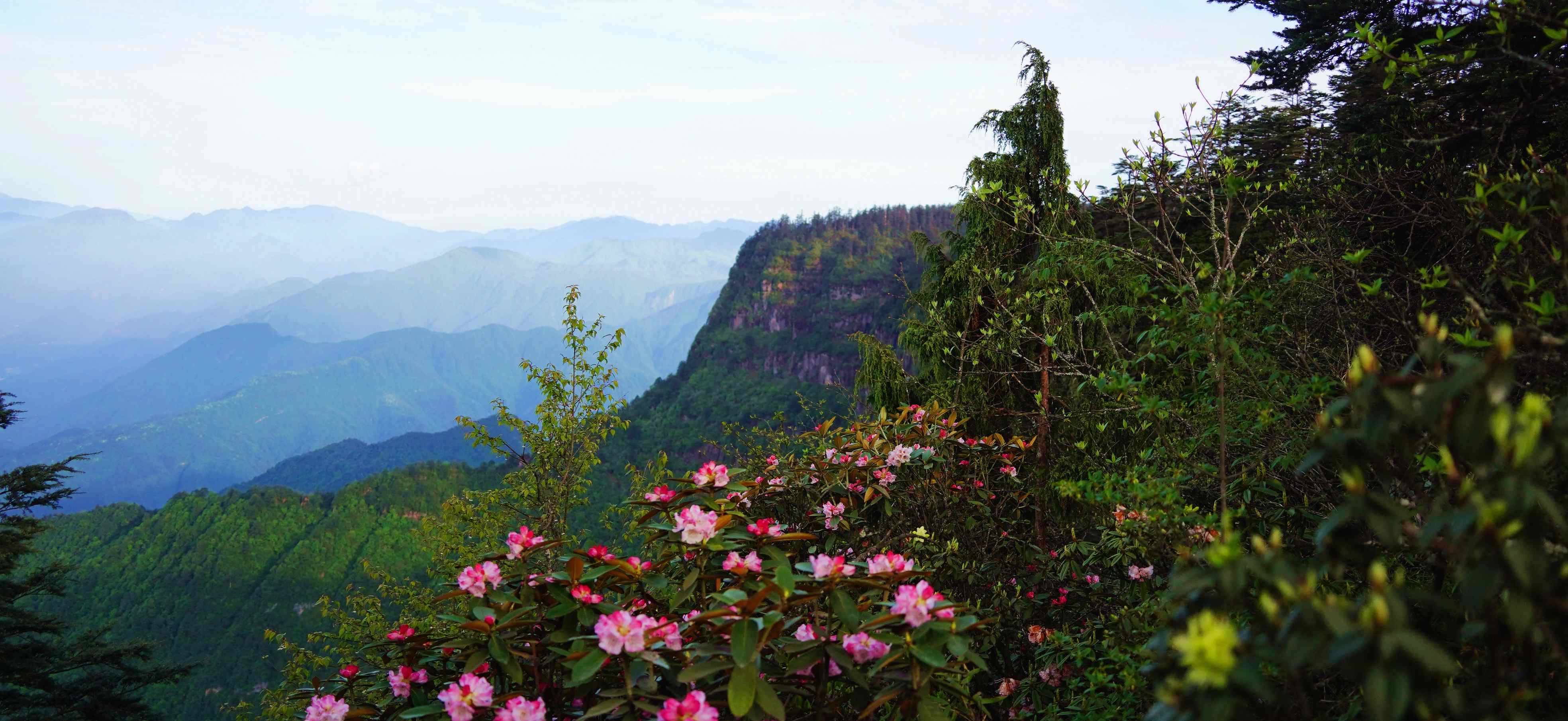 瓦屋山.jpg