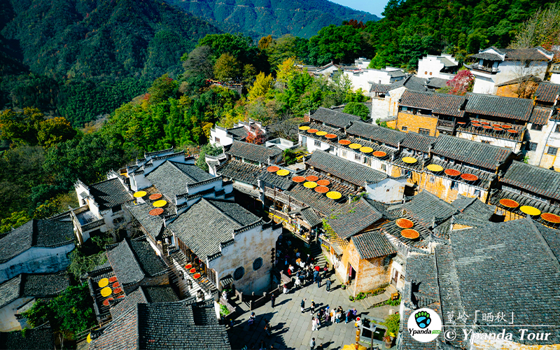 篁岭「晒秋」.jpg