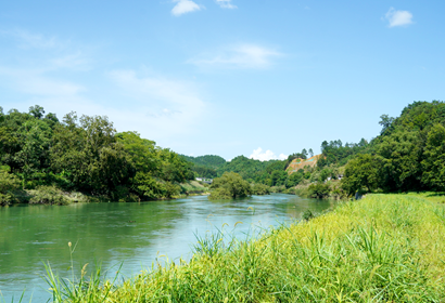 皖南+婺源秋季バードウォッチング及び自然風景７日ツアー