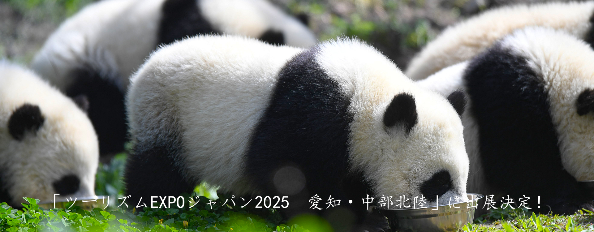 記事