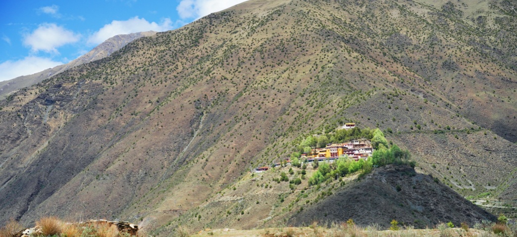DSC04776_副本.jpg