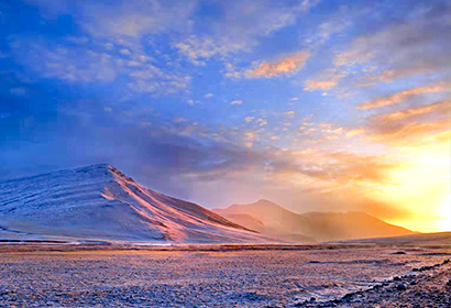 青海省野生動物写真撮影9日間の旅