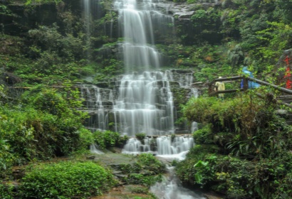 2日間ツアー　シャンシャンと再会の旅